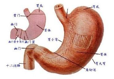 胃腸功能紊亂要做什么檢查